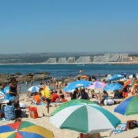 Foto de Algarrobo