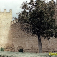 Foto de Alcúdia