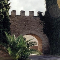 Foto de Alcúdia
