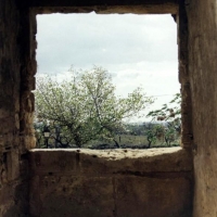Foto de Alcúdia