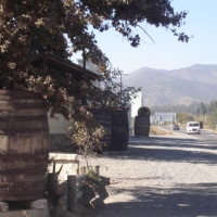 Foto de QUILPUE