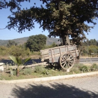 Foto de QUILPUE