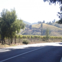 Foto de CASA BLANCA
