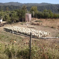 Foto de CASA BLANCA