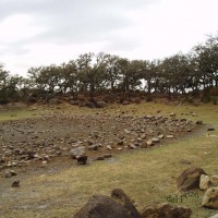 Foto de Alcalá