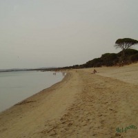 Foto de Puerto Real