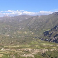 Foto de Cañón del Colca