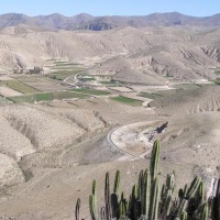 Foto de Cañón del Colca