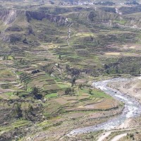 Foto de Cañón del Colca