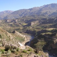 Foto de Cañón del Colca