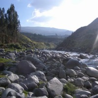 Foto de Cañón del Colca