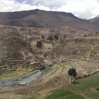 Foto de Cañón del Colca
