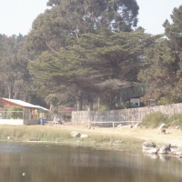 Foto de QUINTAY