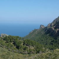 Foto de Mallorca