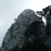 Foto de Mallorca