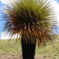 Foto de Ancash