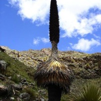 Foto de Ancash