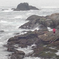 Foto de VIÑA DEL MAR