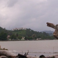 Foto de Miches