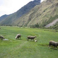 Foto de Ancash