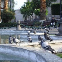 Foto de Arequipa