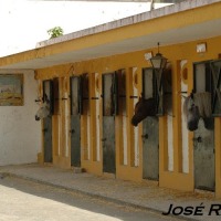 Foto de Jerez  de la Frontera