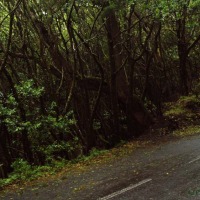 Foto de La Gomera
