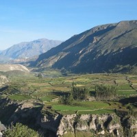 Foto de Cañón del Colca