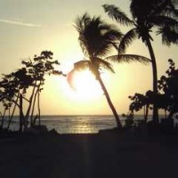 Foto de Punta Cana