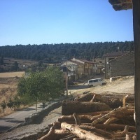 Foto de Abioncillo