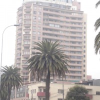 Foto de OLMUE