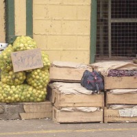 Foto de VALPARAISO