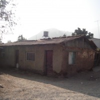 Foto de LIMACHE