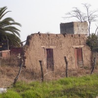 Foto de LIMACHE