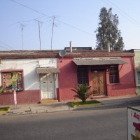 Foto de LIMACHE