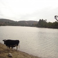 Foto de QUILPUE