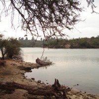 Foto de QUILPUE