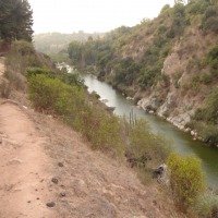 Foto de QUILPUE