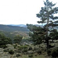 Foto de Madrid
