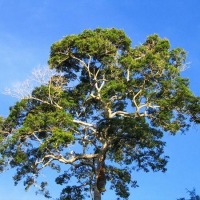 Foto de Puerto Maldonado