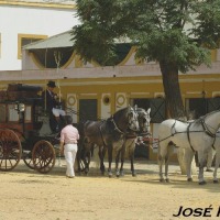 Foto de Jerez  de la Frontera