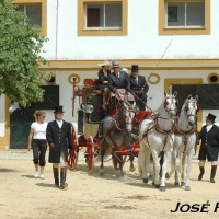 Foto de Jerez  de la Frontera