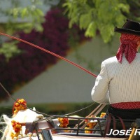 Foto de Jerez  de la Frontera