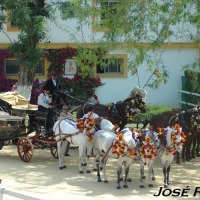 Foto de Jerez  de la Frontera