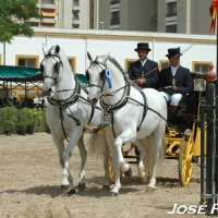 Foto de Jerez  de la Frontera