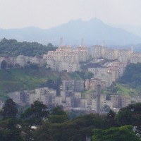 Foto de COTIA