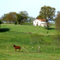 Foto de Arenal de Penagos