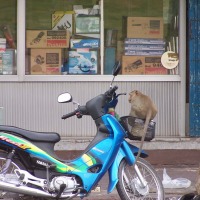 Foto de Lupburi