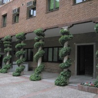 Foto de Alcalá de Henares
