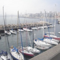 Foto de VIÑA DEL MAR